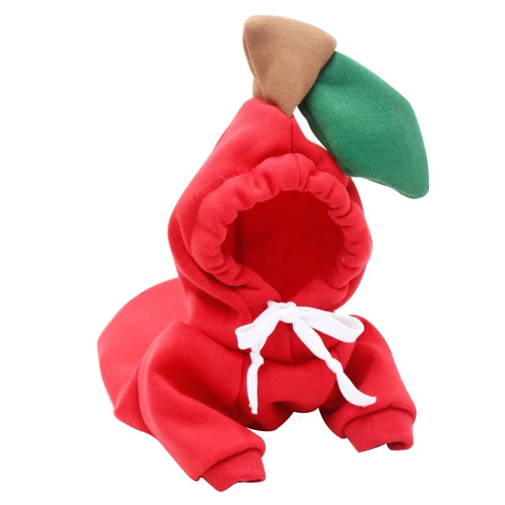 Sweet dog sweater