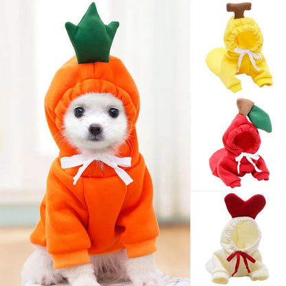 Sweet dog sweater